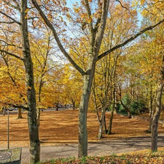 Mathieu Kesselserf 37, 6416 EB Heerlen - Foto 1