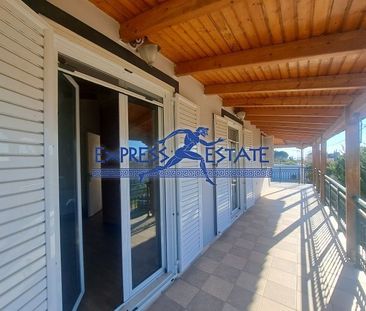 Μονοκατοικία για ενοικίαση Άγιος Παντελεήμονας (Μαραθώνας) - Φωτογραφία 3