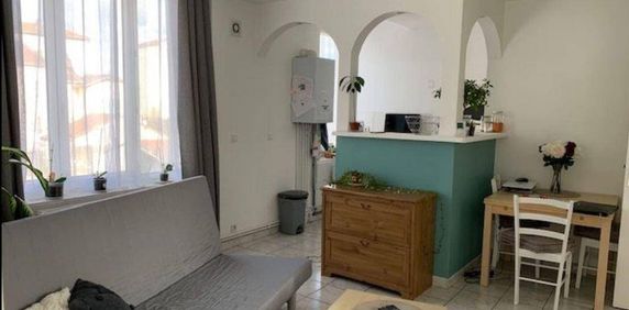 Location appartement 3 pièces 48.3 m² à Sainte-Colombe (69560) 4 - Photo 2