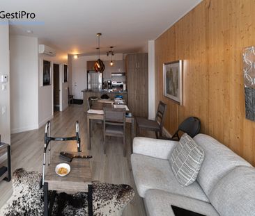 20 Charest Ouest – Le Kaméléon - Photo 1