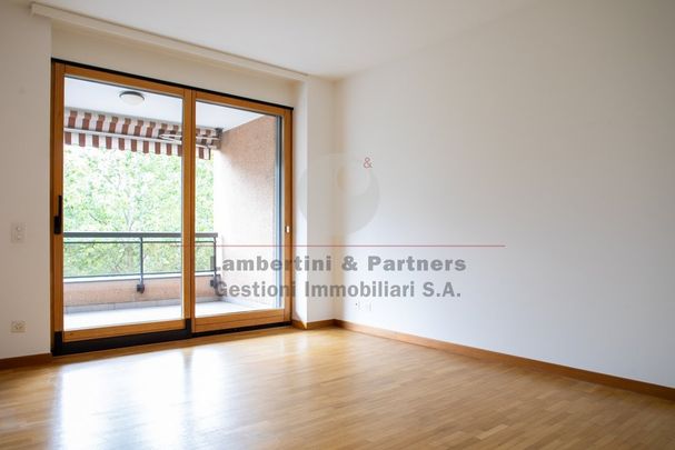 4 ½ Zimmer-Wohnung in Lugano mieten - Photo 1