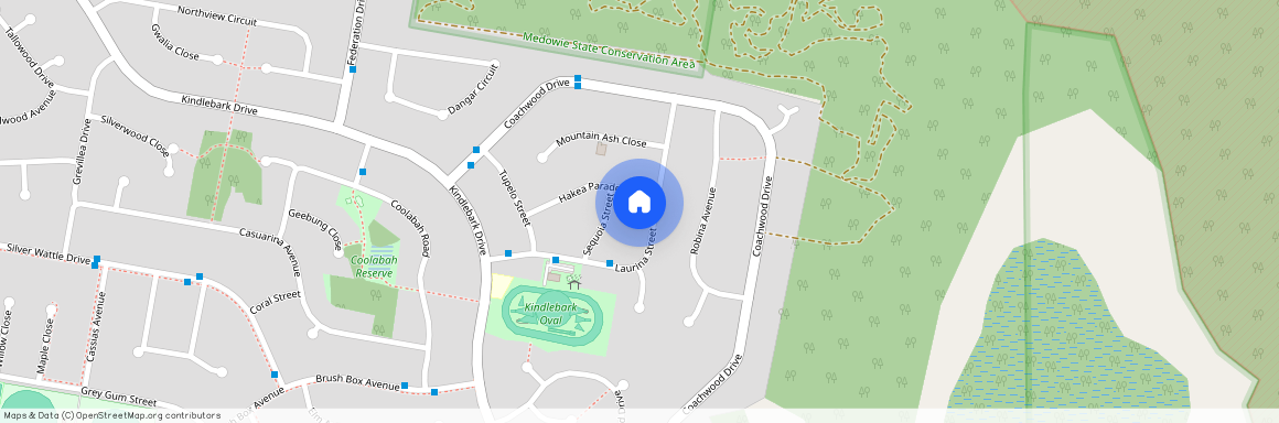 25 Laurina Street, Medowie NSW 2318