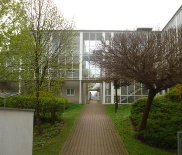 Rudolf-Kunst-Gasse 20a-2 - Photo 1