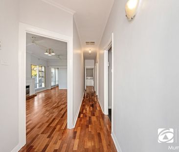 Entertainer's Dream with Ample Shedding - Photo 5