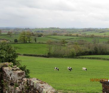 2 bed Cottage - To Let - Photo 5