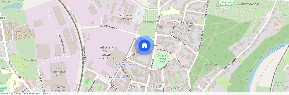 Haydnstraße 9, 08525 Plauen