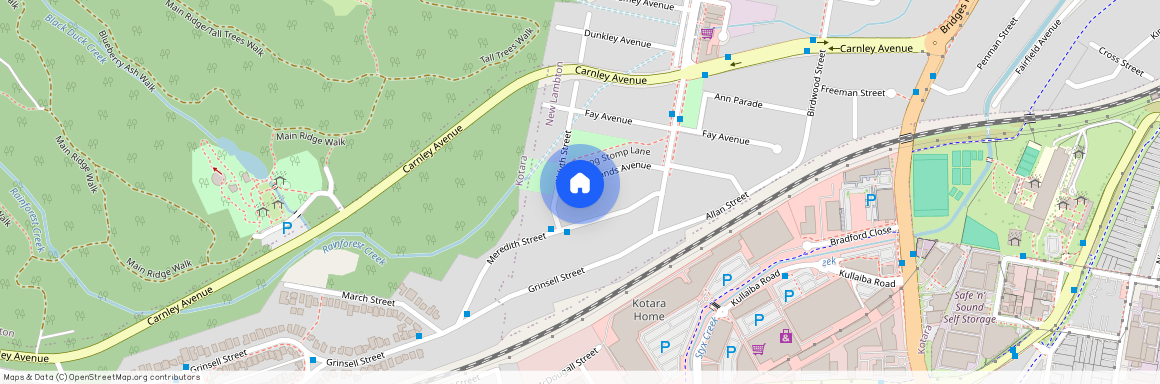 39 Woodlands Avenue, NSW 2305, New Lambton