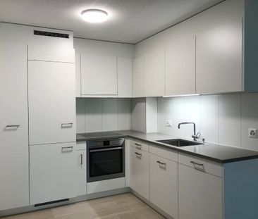2.5 Zimmer, 53 m², EG - Foto 1