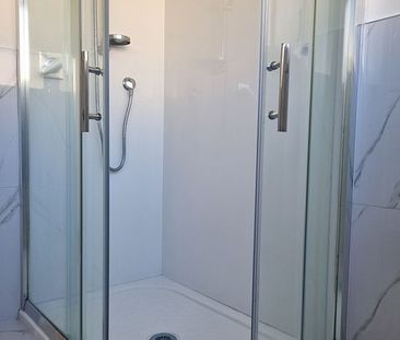 FULLY RENOVATED 3brm STUNNER IN EPSOM, DGZ, UNI - Photo 4