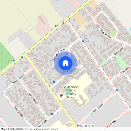 1016 Kauri Street, Mahora, Hastings