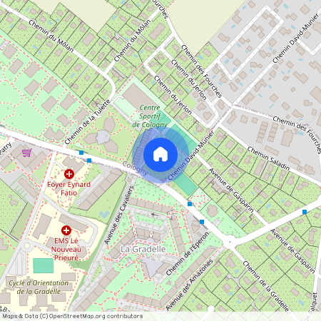 Chemin David-Munier 3, 1223 Cologny