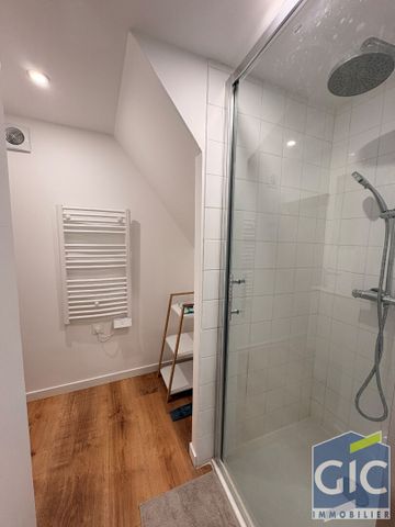 Location Appartement 1 pièce 16m² - Photo 4