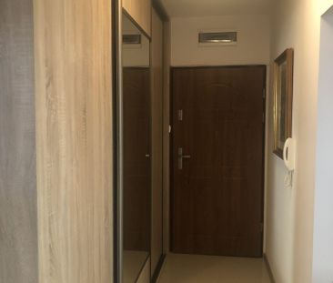 Mieszkanie na wynajem – Kalisz , Wyszyńskiego 36 - Photo 6