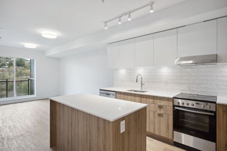 183 East Georgia Street, Vancouver - Photo 5