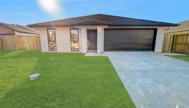 Treedale Tranquility - Photo 1