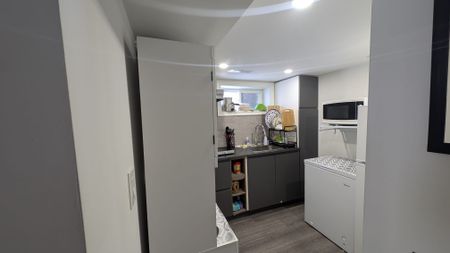 For Lease - 285 West 31 Street Unit# Lower / Basement, Hamilton, Ontario - Photo 3