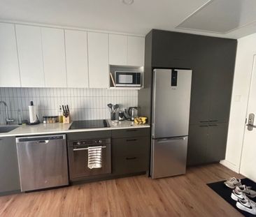 Appartement à louer - Montréal (Le Sud-Ouest) (Griffintown) - Photo 6