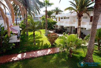 *Rent apartment in Costa del Silencio