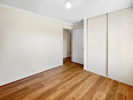 19 Princes Highway, Nairne SA 5252 - House For Rent - $530 | Domain - Photo 3