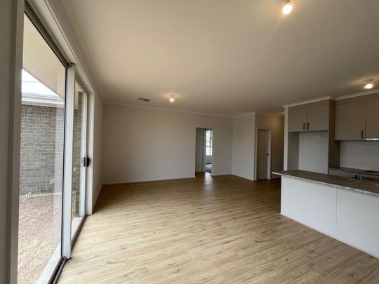 Stunning Brand New Family Home - Photo 1