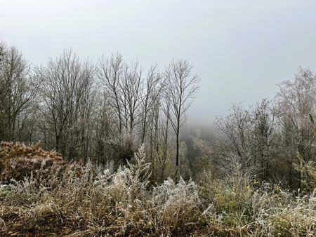 6 TOPSANIERTE ERBEZÜGE AM SEMMERING - Photo 5