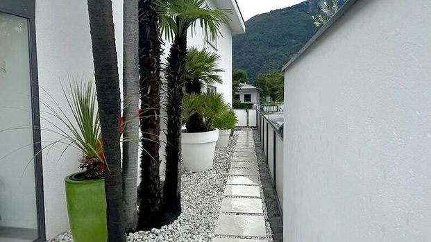 3 Zimmer-Wohnung in Ascona (TI), möbliert, auf Zeit - Foto 1