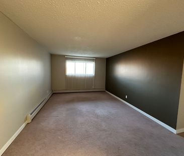 Spacious 2 Bedroom Cat Friendly Suite in Clearview! - Photo 2