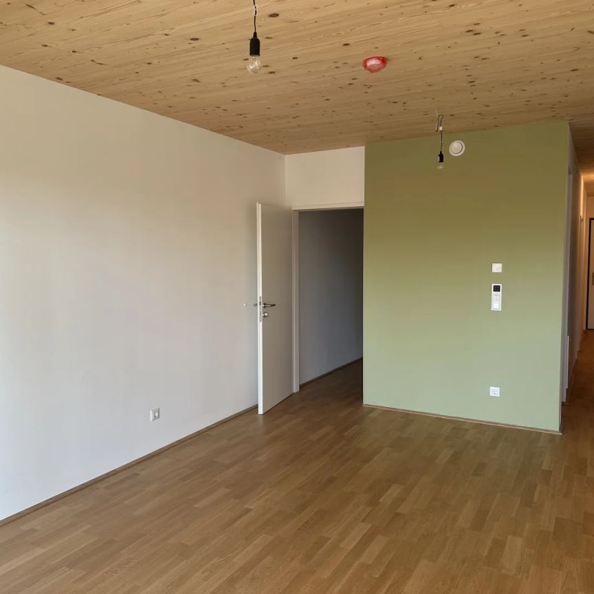 120 Meter zur U1 Oberlaa- Sonnige, barrierefreie südseitige Wohnung- inkl. Küche - Photo 1