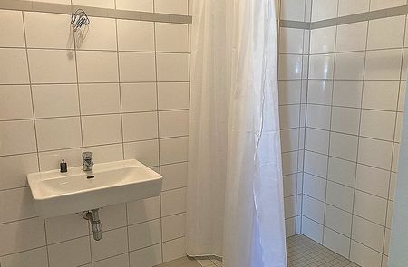 barrierefreie Wohnung in Pulkau - Foto 4