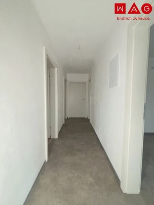 Ankommen und wohlfühlen im Grünen: diese lichtdurchflutete 3-Raum-Wohnung begeistert mit moderner Ausstattung, cleverem Schnitt und perfekter Kombination aus Ruhe und Stadtnähe! - Foto 1