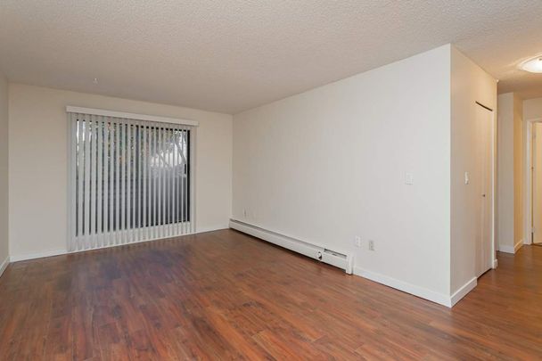 Blue Mountain Apartments - Photo 1