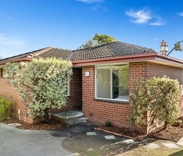 1/24 Suffolk Rd, Surrey Hills VIC 3127 - Villa For Rent | Domain - Photo 4