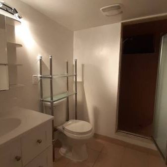 Whole Basement Rent, Separate Entrance, 1 Bedrooms, 1 parking - Photo 4