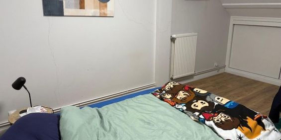 Appartement à louer, 1 pièce - Angers 49100 - Photo 3