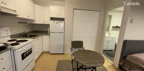 1 1/2 - Montréal (Griffintown) - 1 100 $/mois - Photo 2