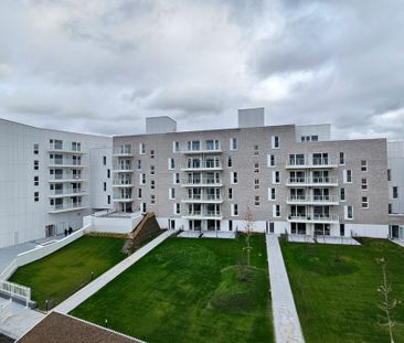 Rue des Bourgeois, 5000, Namur - Photo 6