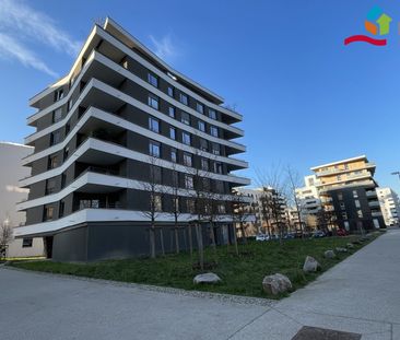 Location Appartement 2 pièces 43m² ILLKIRCH GRAFFENSTADEN 67400 - Photo 5