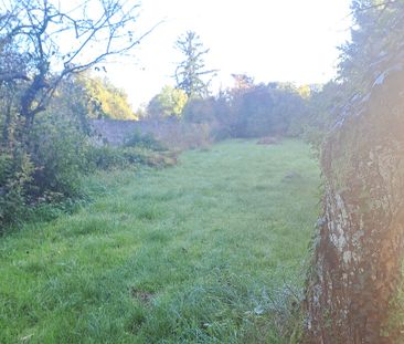 Appartement T2 rénové – Is- sur- Tille – Proches commerces - Photo 6