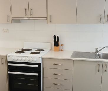 Refurbished Studio - 3 Month Lease Only - Photo 3