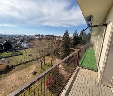 Appartement T2 à louer à ROANNE - Bord de Loire - Photo 1