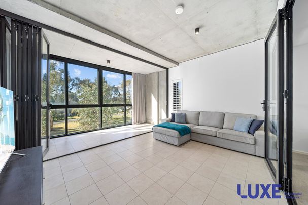 217/17 The Causeway, Kingston ACT 2604 - Apartment For Rent | Domain - Photo 1