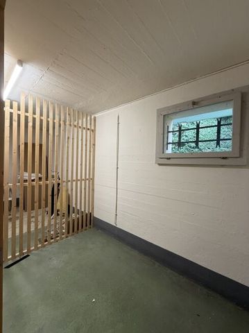 La vie urbaine rencontre l’idylle naturelle sur le Hönggerberg - Foto 4