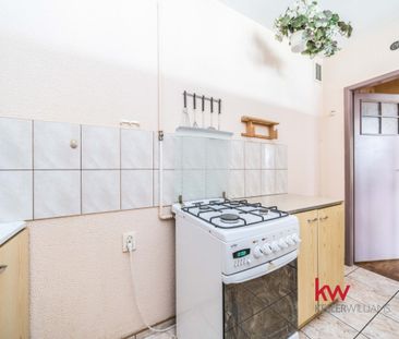 Zwierzolubne mieszkanie 2 – pokojowe - Photo 4