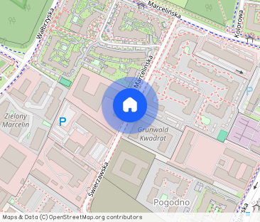 Umeblowane, wolne od zaraz, hala garażowa w cenie, bez pośredników ! - Zdjęcie 1