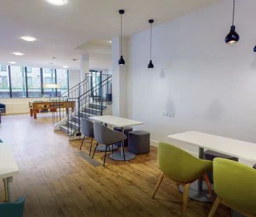 Gold Studio Plus-2627 - Photo 5