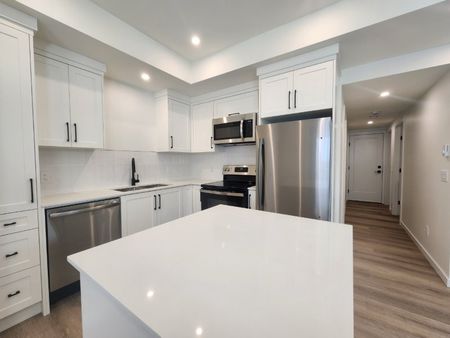 Brand New Two Bedroom Suite in Langley including Hydro and Parking - Photo 2