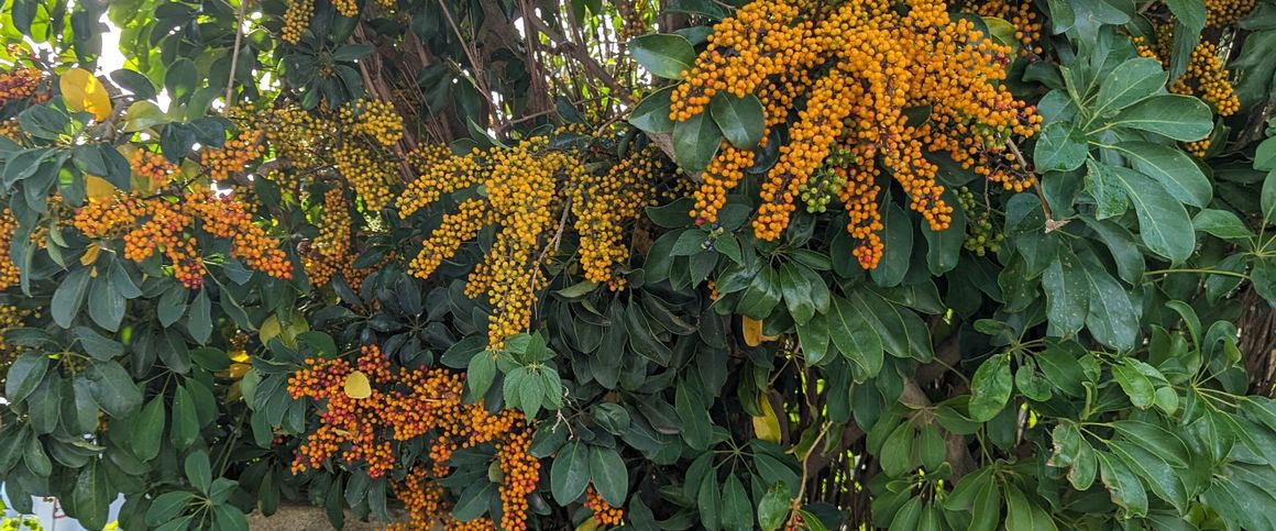 Churchlands - Photo 1