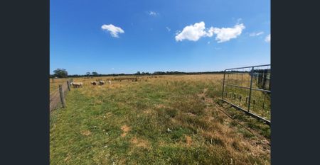 Versatile Homestead with Paddocks, Sheds & Relaxing Rural Outlook - Photo 3