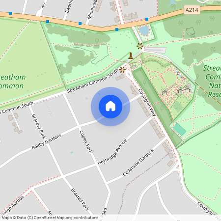 Baldry Gardens, SW16 3DP, London