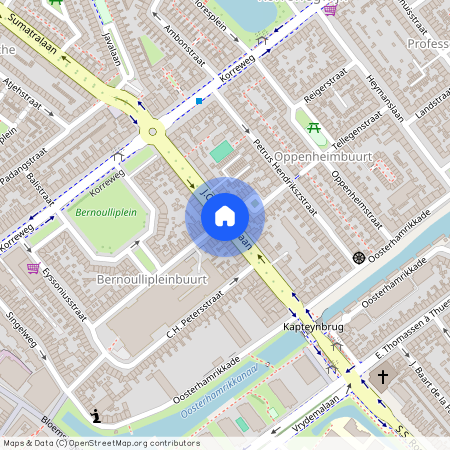 Professorenbuurt, 9714 CL, J.C. Kapteynlaan, Groningen